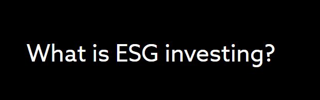ESG Factor Investing