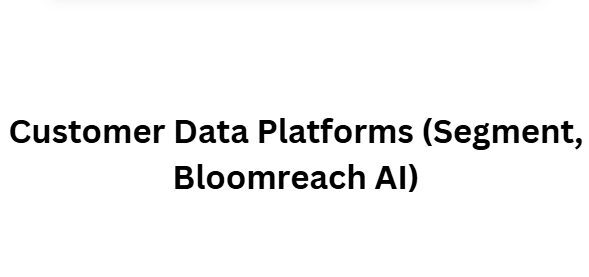 Customer Data Platforms (Segment, Bloomreach AI)
