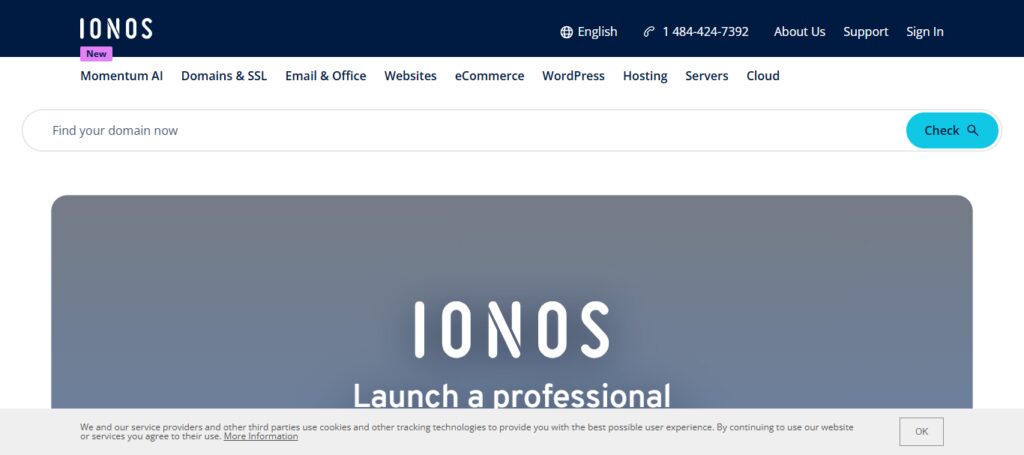 IONOS