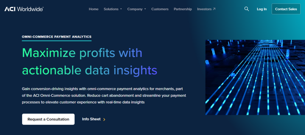 ACI Worldwide BIN Analytics