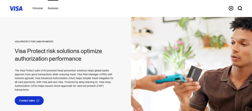 Visa Advanced Authorization