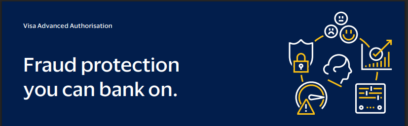 10 Best Systems for Payment Attempt Intelligence Tracking 5 Visa Advanced Authorization