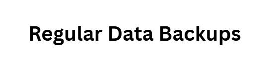 Regular Data Backups