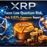 XRP Faces Low Quantum Risk, Only 0.03% Exposure: Report