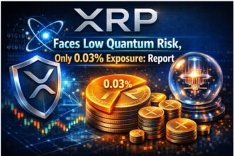 XRP Faces Low Quantum Risk, Only 0.03% Exposure: Report