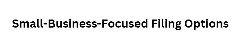 Small-Business-Focused Filing Options