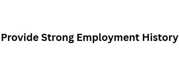 Provide Strong Employment History