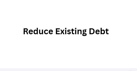 Reduce Existing Debt