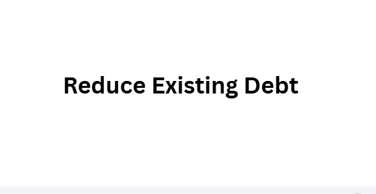 Reduce Existing Debt