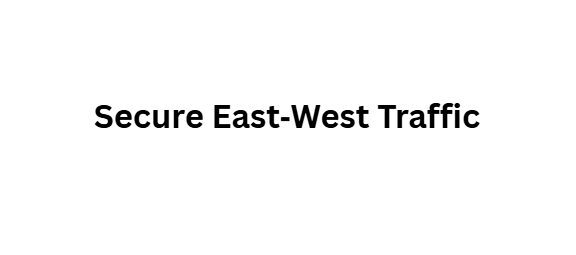 Secure East‑West Traffic