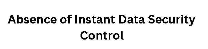 Absence of Instant Data Security Control