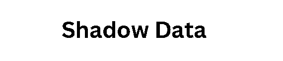 1. Shadow Data 
