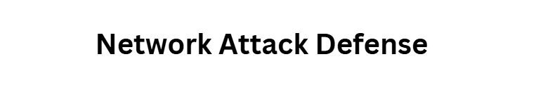 Network Attack Defense