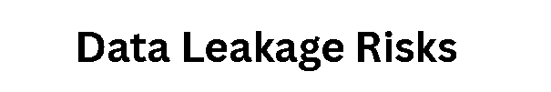 Data Leakage Risks
