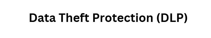  Data Theft Protection (DLP)
