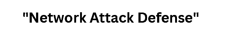  "Network Attack Defense"