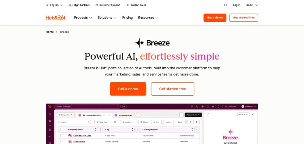 HubSpot AI