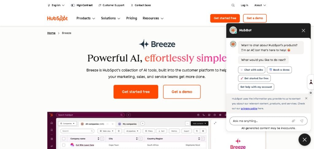 HubSpot AI