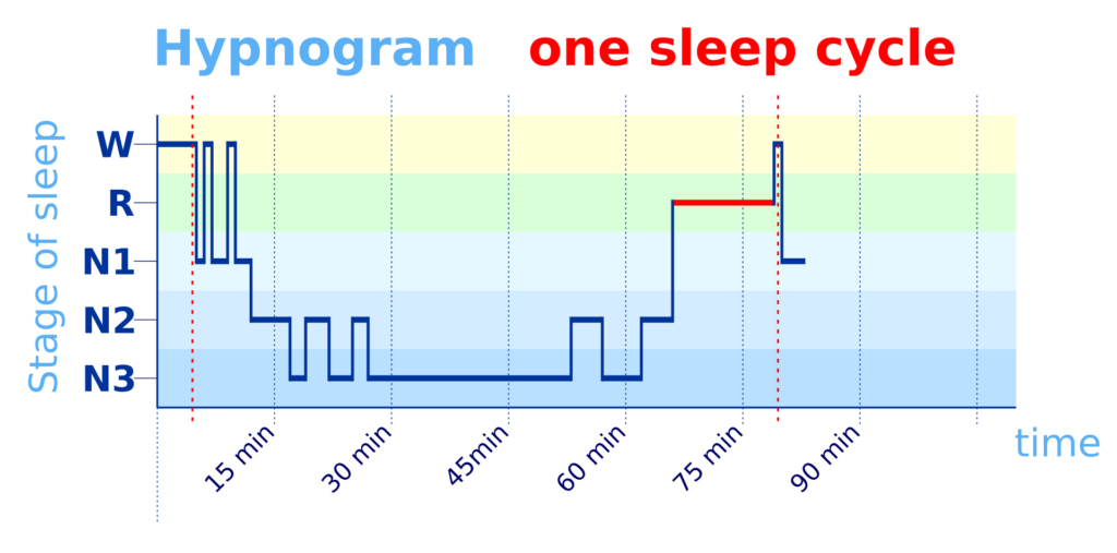 Sleep Cycle