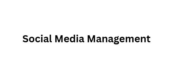  Social Media Management