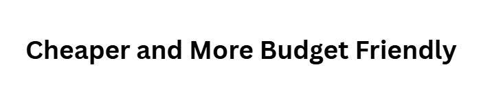 Cheaper and More Budget Friendly