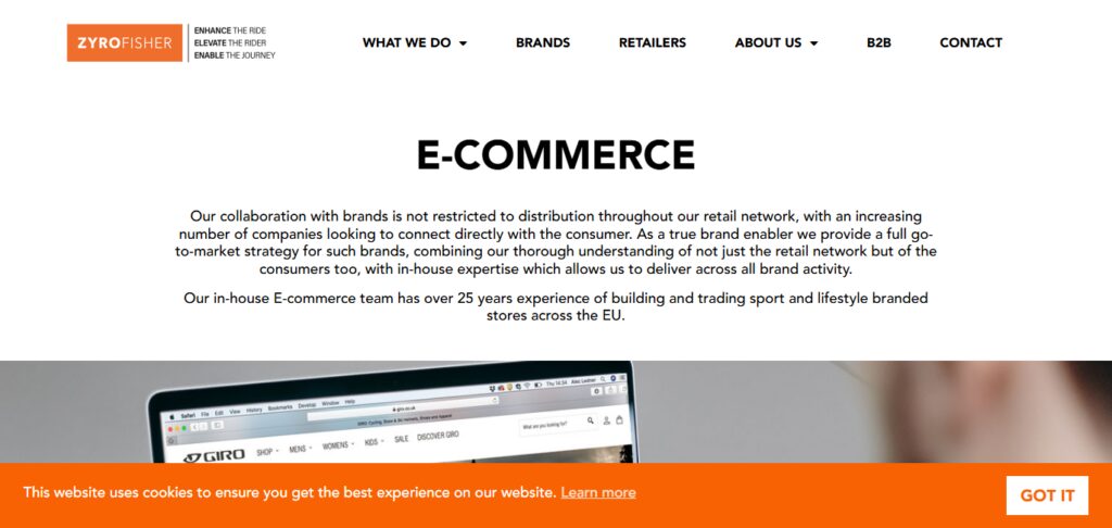 Zyro eCommerce