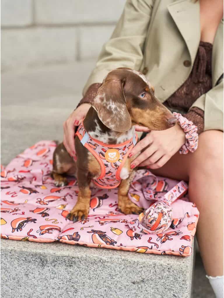 Pet Accessories (Bandanas, Mats)