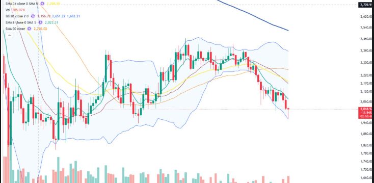 Is It Possible for the Crypto Market to Recover, or Will It Continue to Crash?
