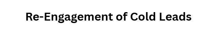 Re-Engagement of Cold Leads