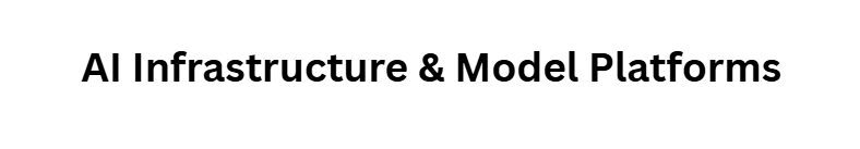 AI Infrastructure & Model Platforms