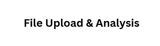 File Upload & Analysis