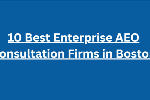 10 Best Enterprise AEO Consultation Firms in Boston