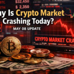 Why Is Crypto Market Crashing Today? May 08 Update