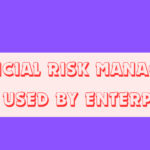 10 Financial Risk Management Tools Used by Enterprises