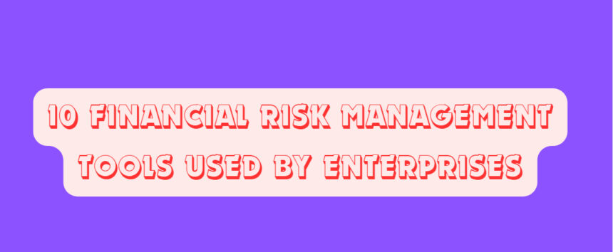 10 Financial Risk Management Tools Used by Enterprises