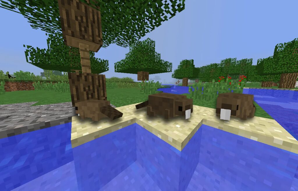 BlockBeaver