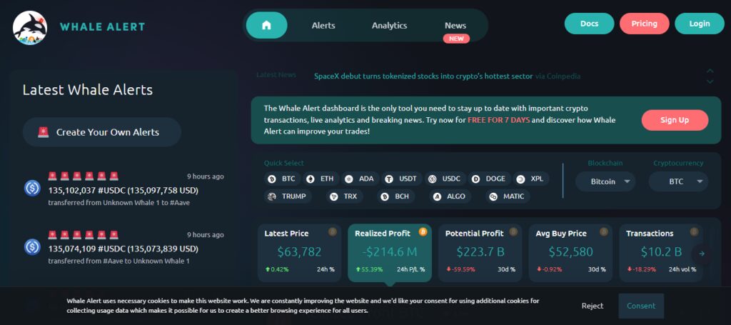 Whale Alert AI