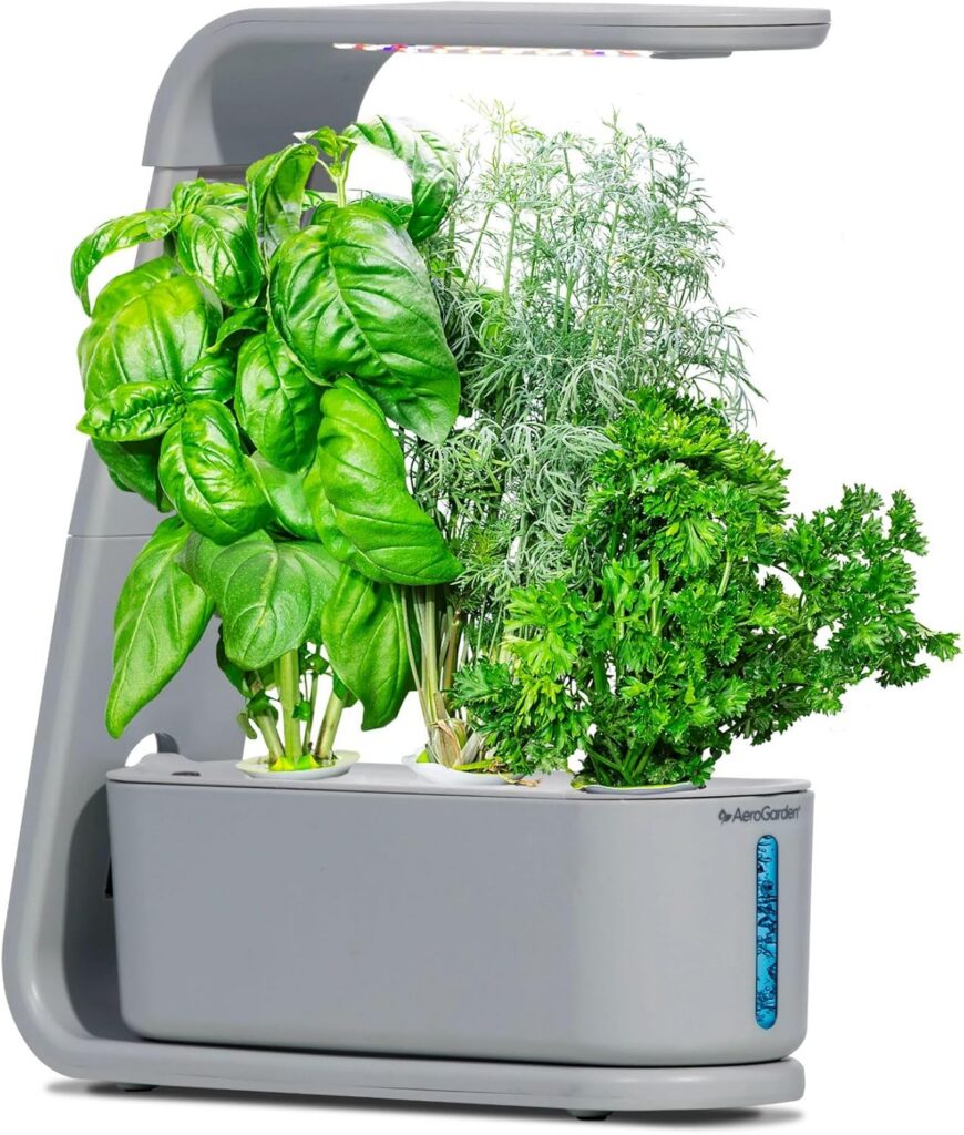 10 Best Smart Home Hydroponic Herb Gardens with UV Light 9 AeroGarden Sprout
