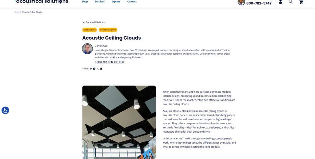 10 Best Soundproofing Acoustic Panel Kits for Home Studios 10 Ceiling Cloud Panels