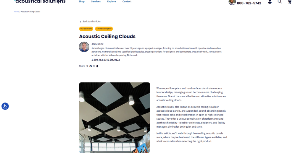 Ceiling Cloud Panels