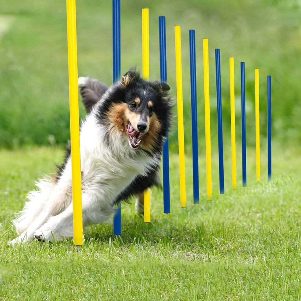 Adjustable Agility Jump Set