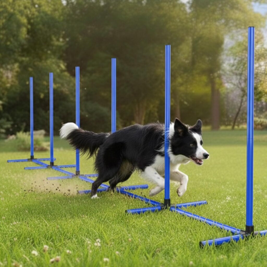Weave Poles
