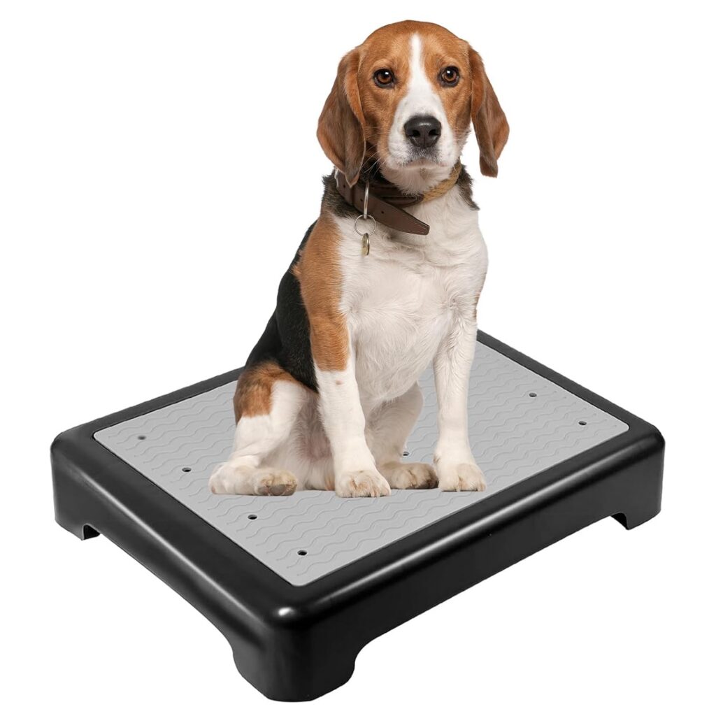 Non-Slip Agility Platform