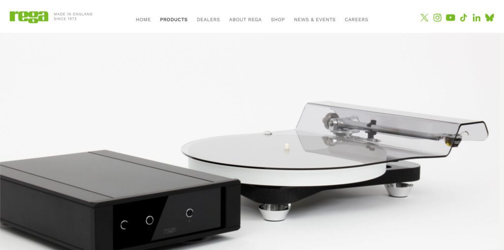 10 Best High-Fidelity Audiophile Turntables for Home Audio 8 Rega Naia