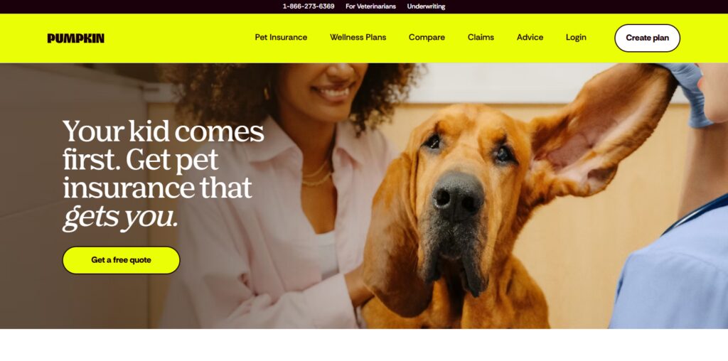 10 Best Pet Insurance Plans for Alternative & Holistic Care 11 Pumpkin Pet Insurance