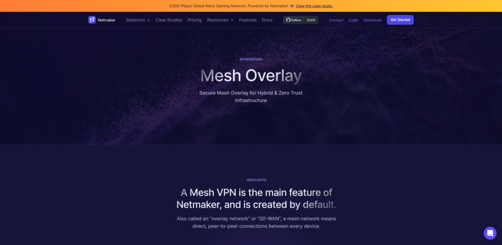 Top 10 Mesh VPN Networks for Secure P2P Enterprise Infra 10 Netmaker Mesh VPN