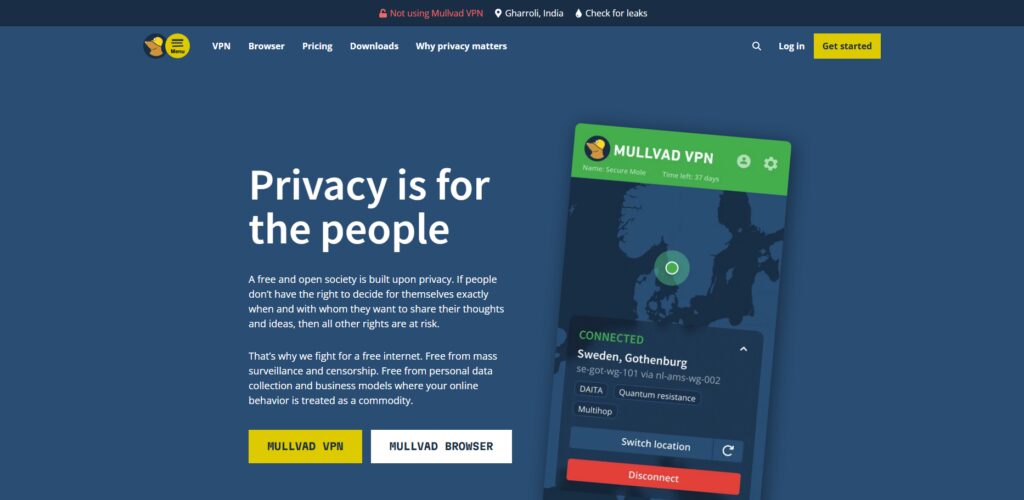 Mullvad VPN (Enterprise)