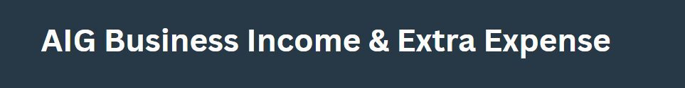 AIG Business Income & Extra Expense