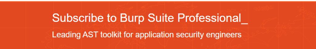 Burp Suite Professional