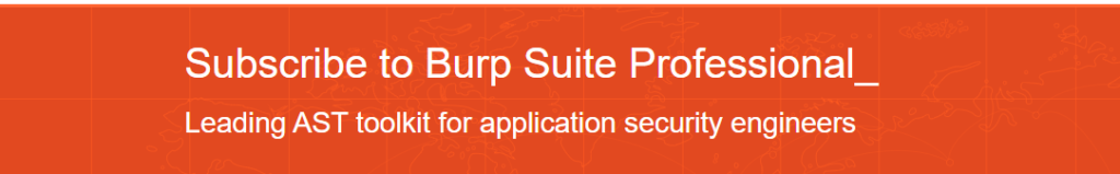 Burp Suite Professional